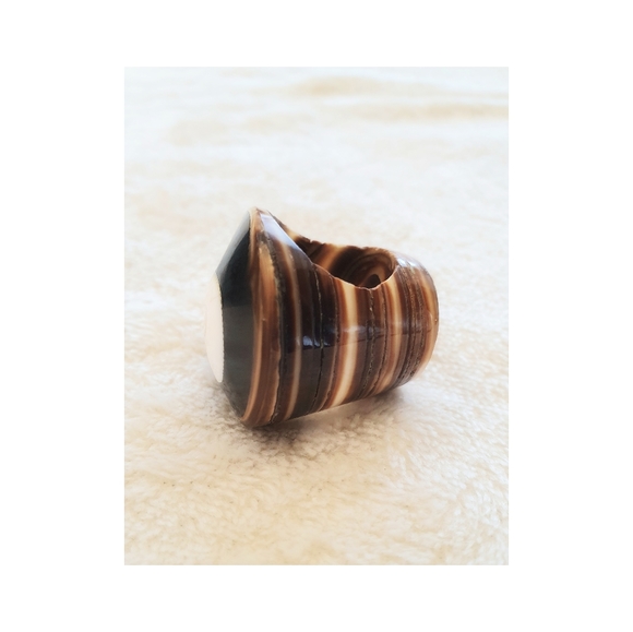 Shell carb ring - Picture 2 of 4